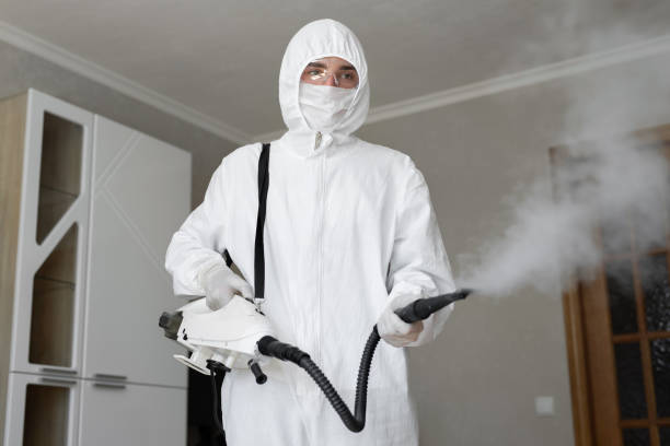 Asbestos and Lead Testing During Mold Inspection in Upper Montclair, NJ